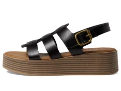 Blowfish Malibu London -Blowfish Malibu 71C5TkzCQFL