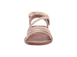 Blowfish Malibu Kids Dyoo T (Toddler/Little Kid) 13 Blowfish Malibu Kids Dyoo T (Toddler/Little Kid) -Blowfish Malibu 61kn8uo3XVL